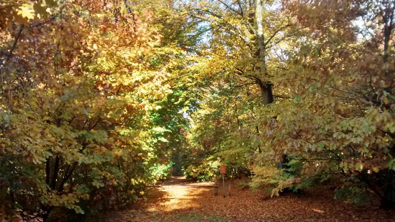 Charme Camping Vorrelveen Beilen Extérieur photo
